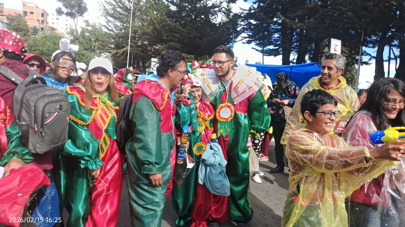 Entrada al Carnaval 15 de febrero 2026